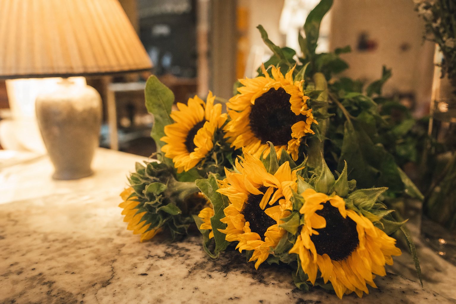 Bright sunflowers in a sunny field