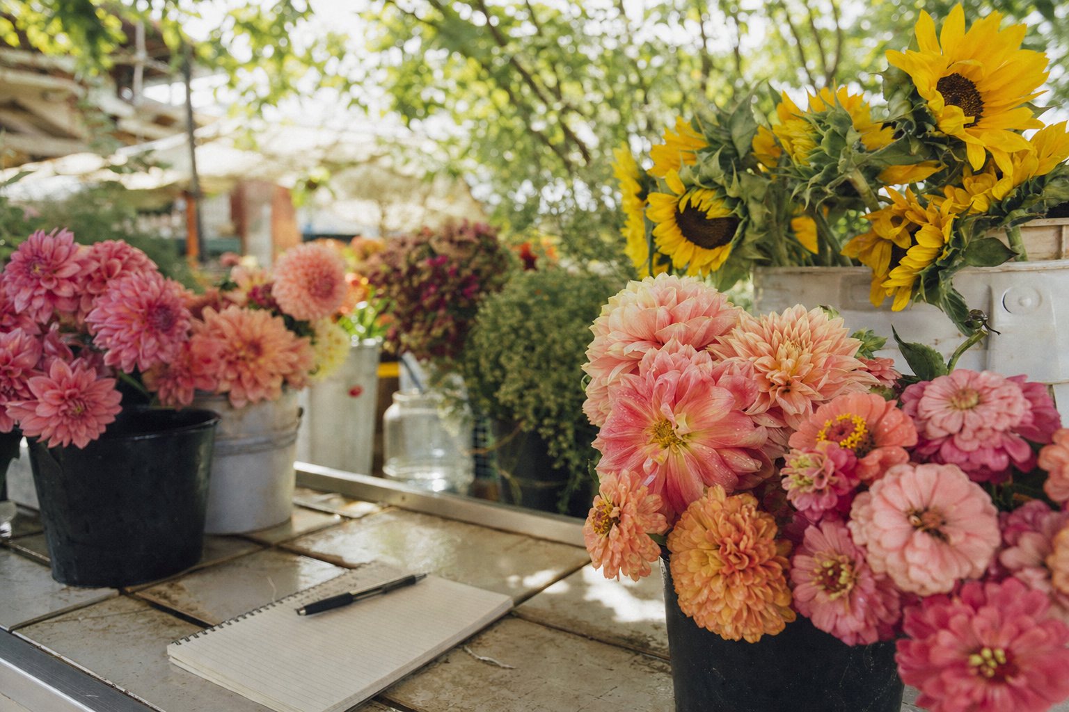Bright flower shop counter with notepad, pen, and buckets of late-summer dahlias, zinnias and sunflowers