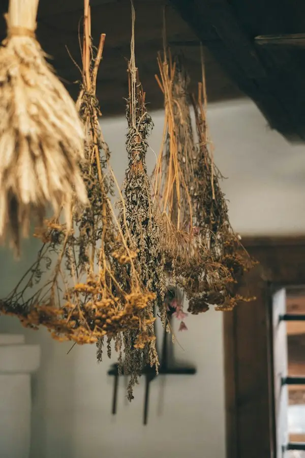Dried flower bundles hanging to dry