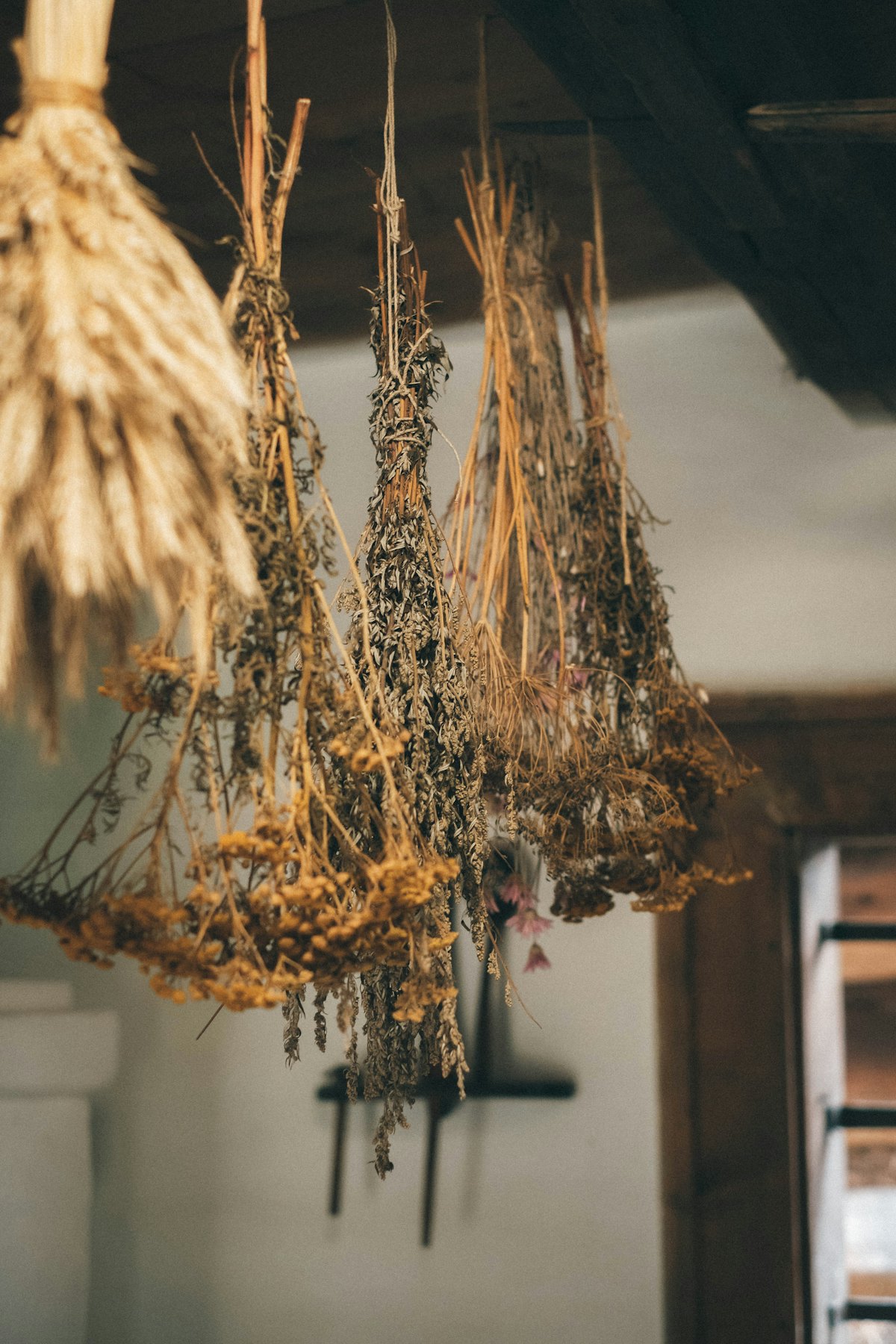 Dried flower bundles hanging to dry
