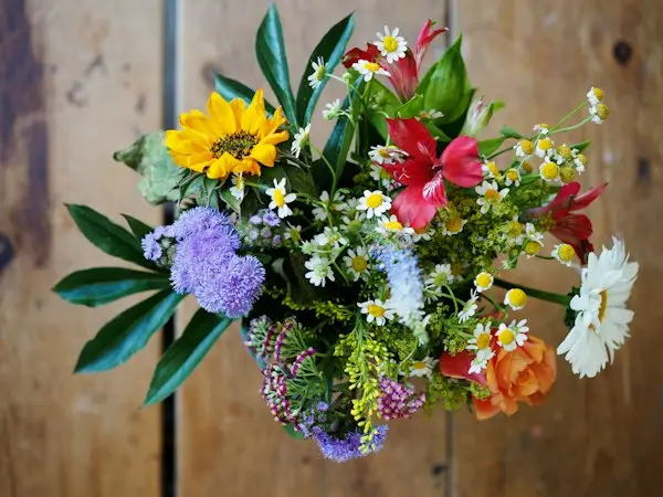 Assorted colorful flowers laid on wood