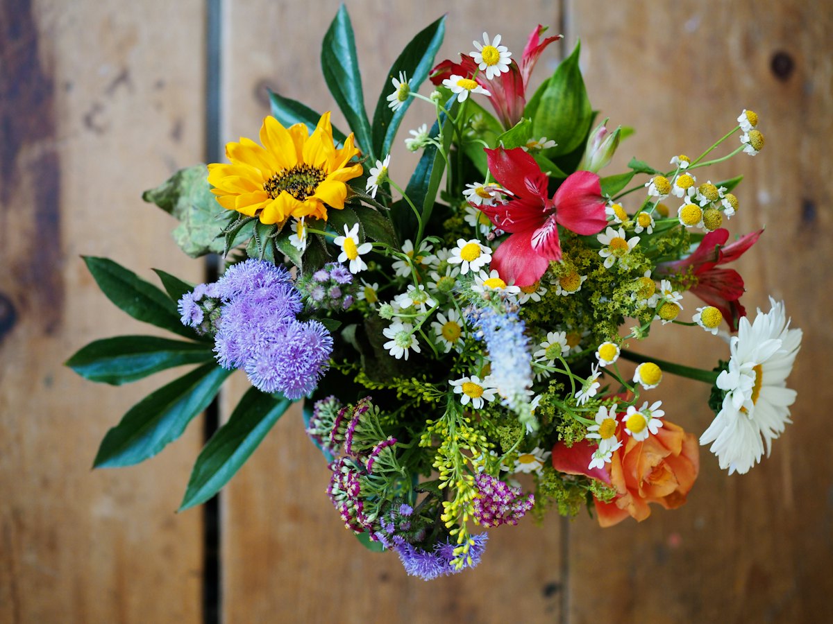 Assorted colorful flowers laid on wood