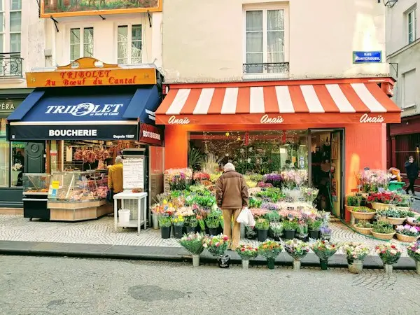 Seasonal flowers in pots outside a shop